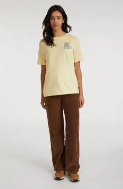 ONeill Dive Cord Pants | Melted Chocolate