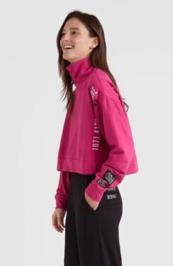 ONeill Progressive Mock Neck Sweatshirt | Fuchsia Red