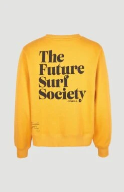 ONeill Future Surf Crew Sweatshirt | Nugget -ONeill Fashion Shop 1750051 17016 11 PACK