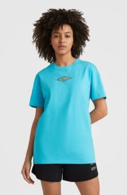 ONeill Limbo Graphic Long T-Shirt | Bachelor Button