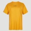 ONeill Future Surf Loose Long T-Shirt | Nugget -ONeill Fashion Shop 1850096 17016 10 PACK