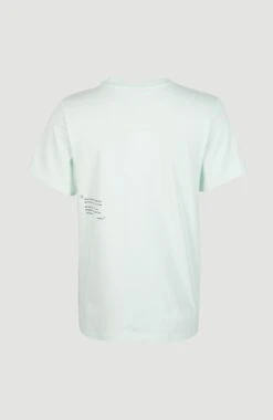 ONeill Future Surf Regular T-Shirt | Soothing Sea -ONeill Fashion Shop 1850097 15035 11 PACK