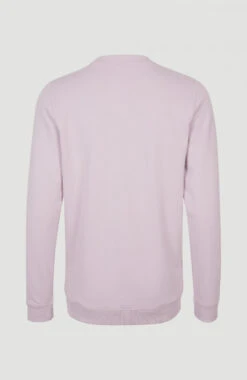 ONeill Circle Surfer Crew Sweatshirt | Lavendar Frost 13 ONeill Circle Surfer Crew Sweatshirt | Lavendar Frost -ONeill Fashion Shop N1750002 14511 11 PACK