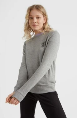 ONeill Circle Surfer Crew Sweatshirt | Silver Melee