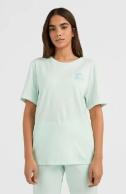 ONeill Circle Surfer T-Shirt | Soothing Sea