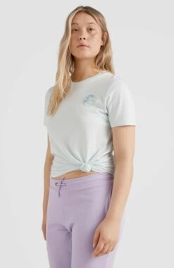 ONeill Circle Surfer T-Shirt | Whispering Blue