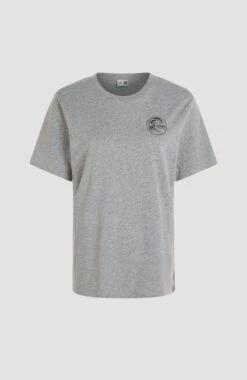 ONeill Circle Surfer T-Shirt | Silver Melee